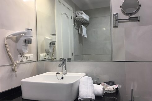 Baño de la habitación básica en el Hotel Plaza Cavana en Nerja