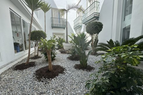 jardin interior hotel Plaza Cavana